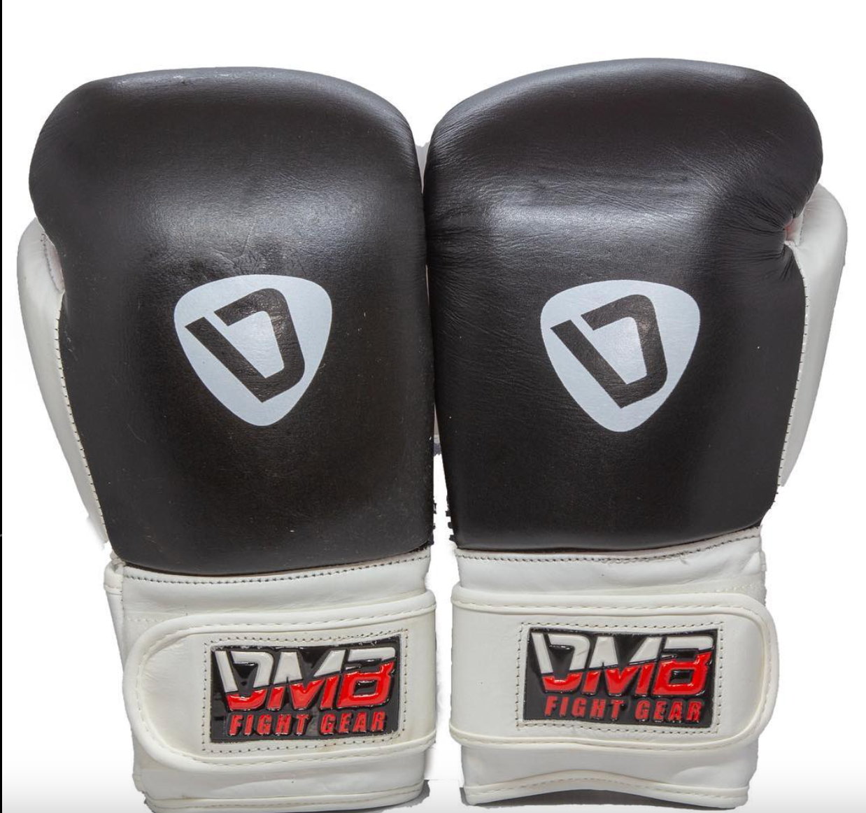 Sparring Gloves